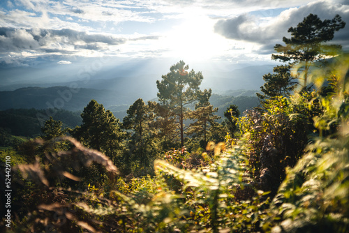 landscape view on high green hill