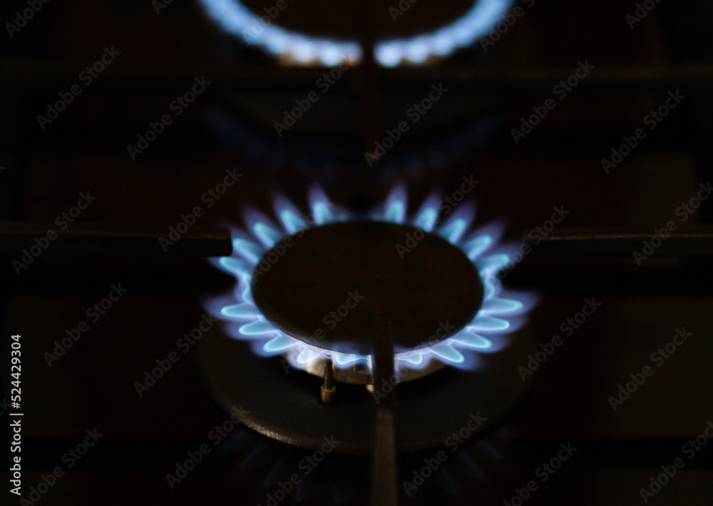 kitchen gas cooker with burning fire propane gas kitchen gas cooker with burning fire propane gas