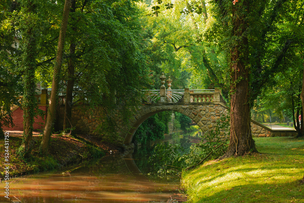 Kamienny, zabytkowy most dla pieszych w parku dworskim w mieście Iłowa w zachodniej Polsce. - obrazy, fototapety, plakaty 
