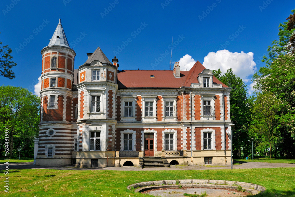 Eclectic palace of the Kronenbergs in village Brzezie, Kuyavian-Pomeranian Voivodeship, Poland. The palace in Brzezie was built for Leopold Kronenberg in 1873. 
