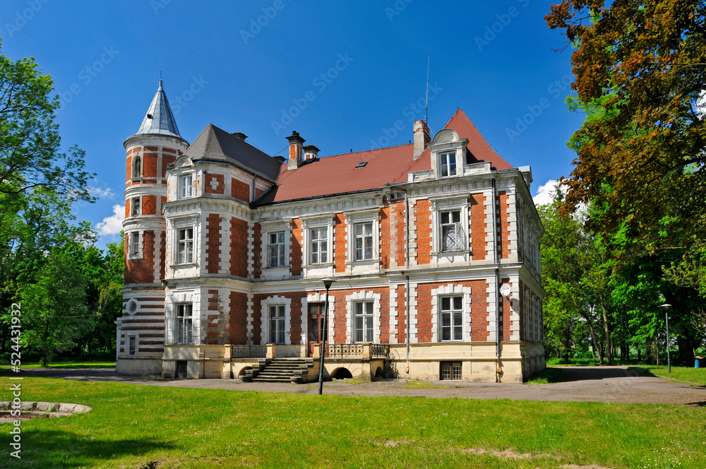 Eclectic palace of the Kronenbergs in village Brzezie, Kuyavian-Pomeranian Voivodeship, Poland. The palace in Brzezie was built for Leopold Kronenberg in 1873. It was designed by the Warsaw architect Eclectic palace of the Kronenbergs in village Brzezie, Kuyavian-Pomeranian Voivodeship, Poland. The palace in Brzezie was built for Leopold Kronenberg in 1873. It was designed by the Warsaw architect