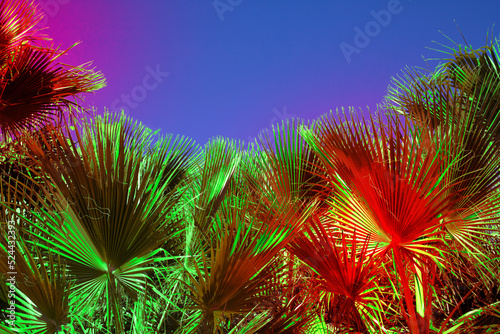 tropical plants in neon lights hallucination