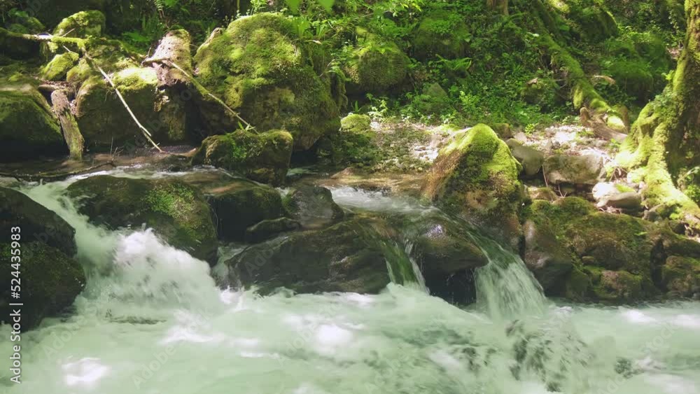 A wild mountain river A wild mountain river