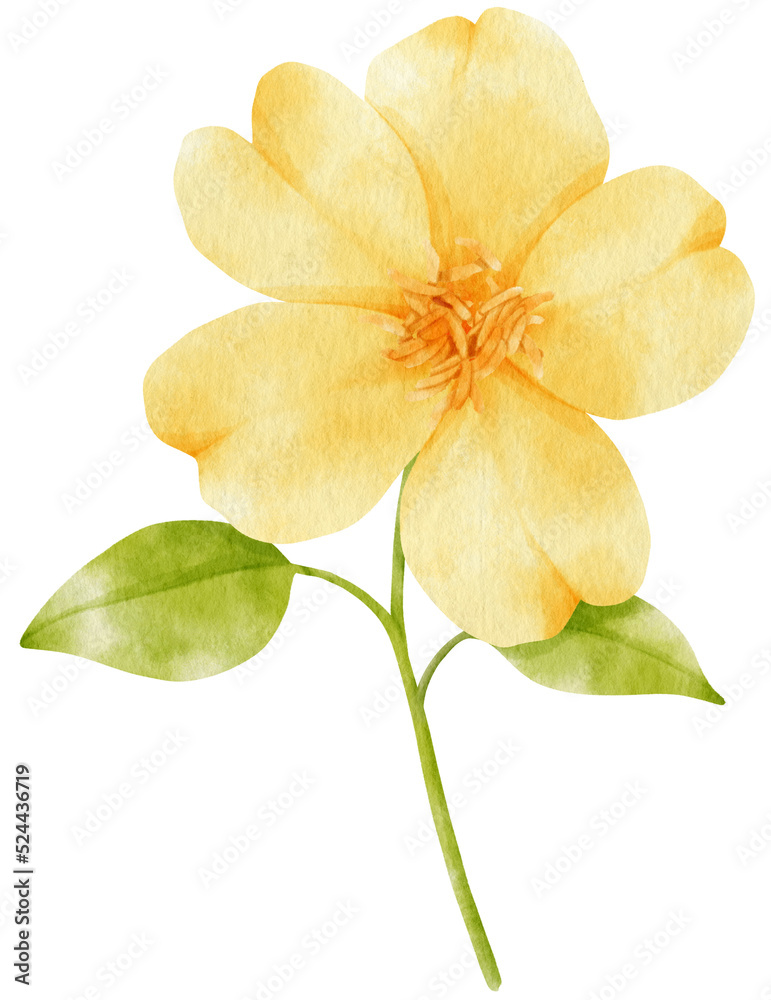 Naklejka premium Yellow flowers watercolor illustration