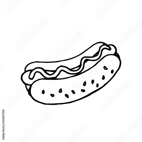 hotdog doodle illustration on isolated white background