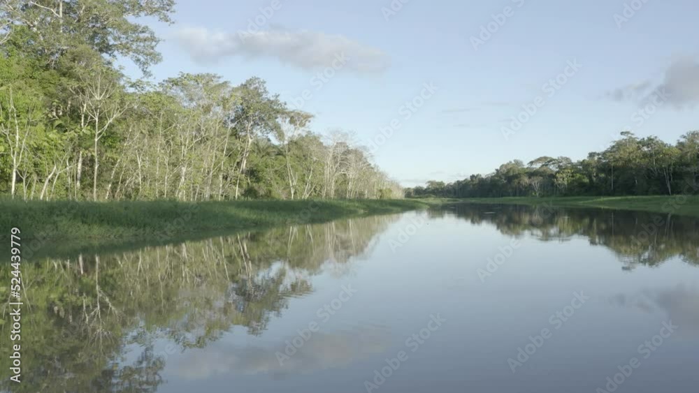4k Aerial shot for amazon river and the rain forest. shot on MAVIC 2 PRO hasselblad rendered prores 422HQ D-log 4k Aerial shot for amazon river and the rain forest. shot on MAVIC 2 PRO hasselblad rendered prores 422HQ D-log