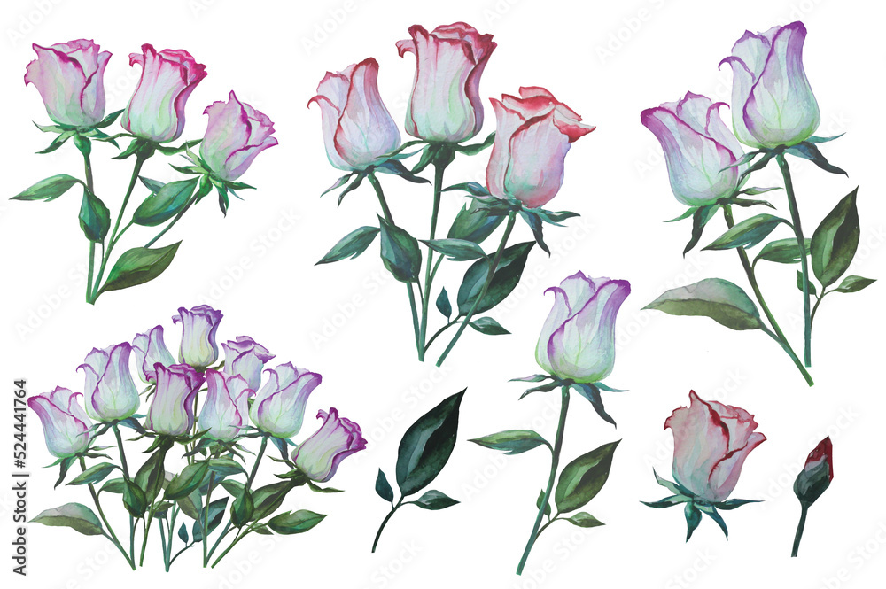 Fototapeta premium white rose flower clipart illustration isolated on white background, flower pattern