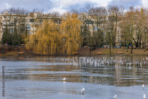 View on the pond Szczesliwice Park in Ochota district of Warsaw in Poland photo