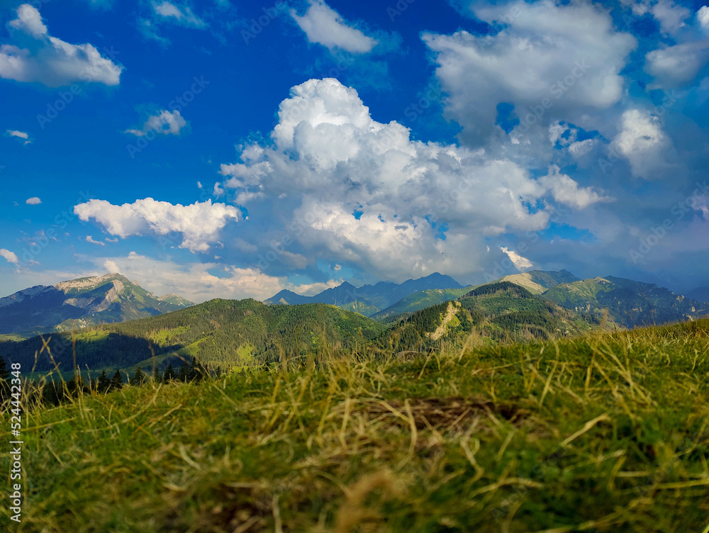 Fototapeta premium Polana Rusionwa Tatry