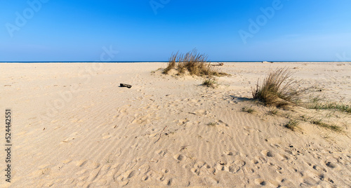 Panoramic view of a sand dune and grass near the sea