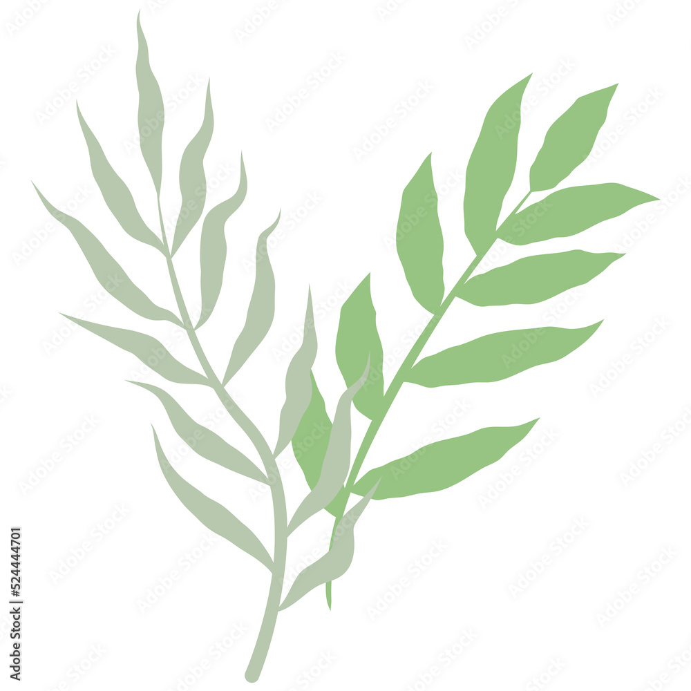 Fototapeta premium Aesthetic wreath green leaf nature