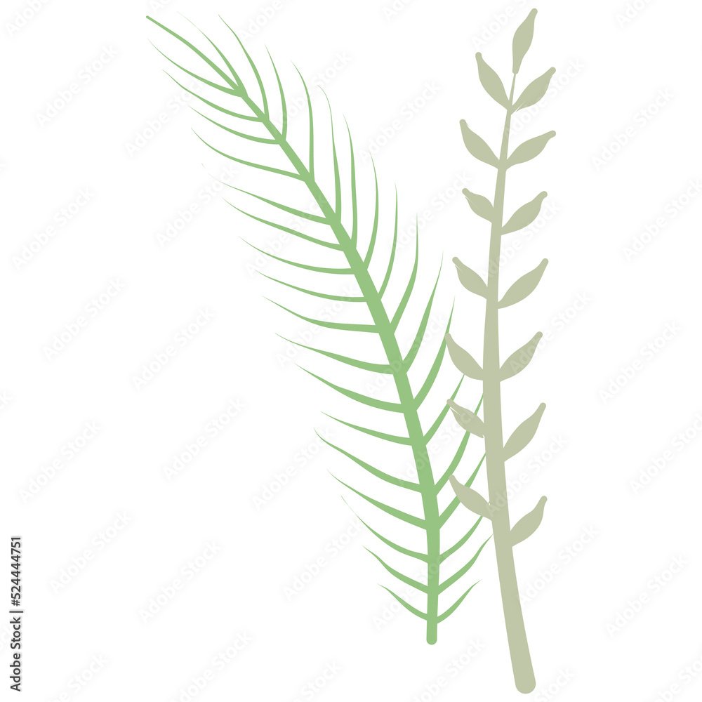 Aesthetic wreath green leaf nature