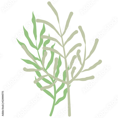 Fototapeta Naklejka Na Ścianę i Meble -  Aesthetic wreath green leaf nature