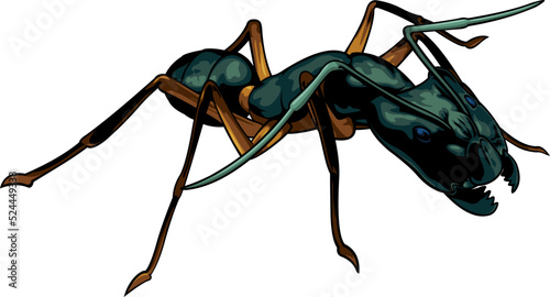 Vector cartoon black ant warrior on white background
