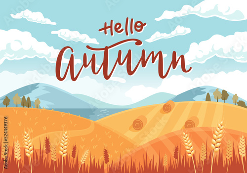 Autumn landscape with lettering. Fields with crops, wheat golden ripe spikelets, round hay bales. Vector illustration in flat style