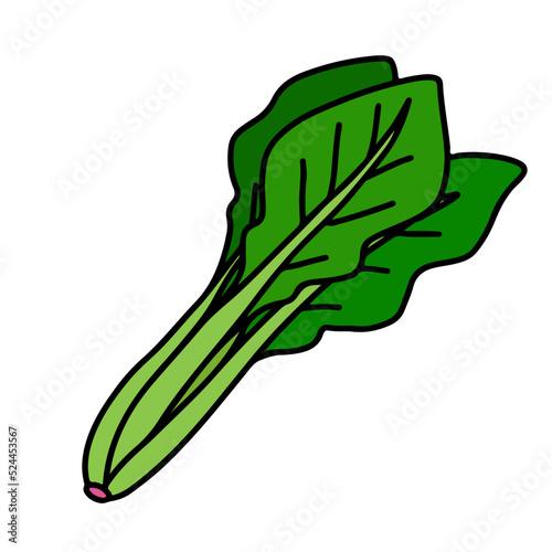 ほうれん草