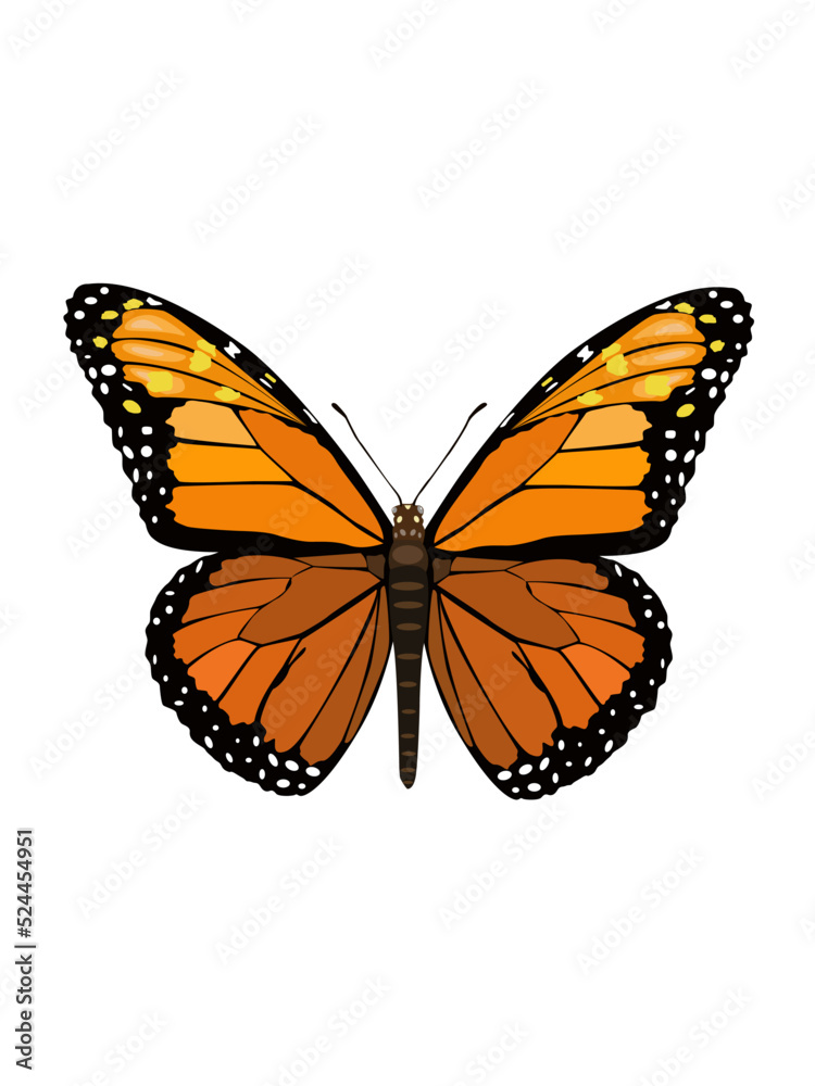 Fototapeta premium Beautiful butterfly on flower tree plants vector illustration design element