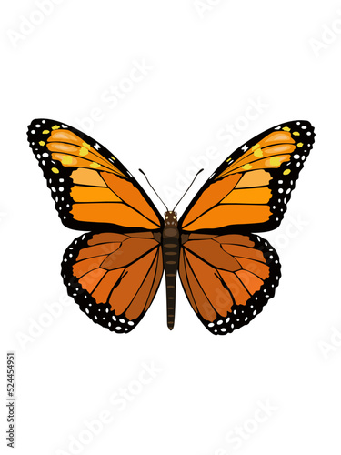 Beautiful butterfly on flower tree plants vector illustration design element