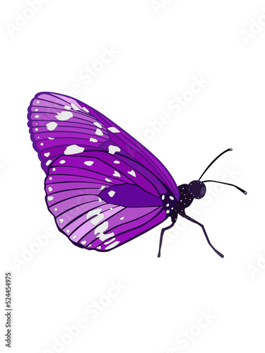 Beautiful butterfly on flower tree plants vector illustration design element