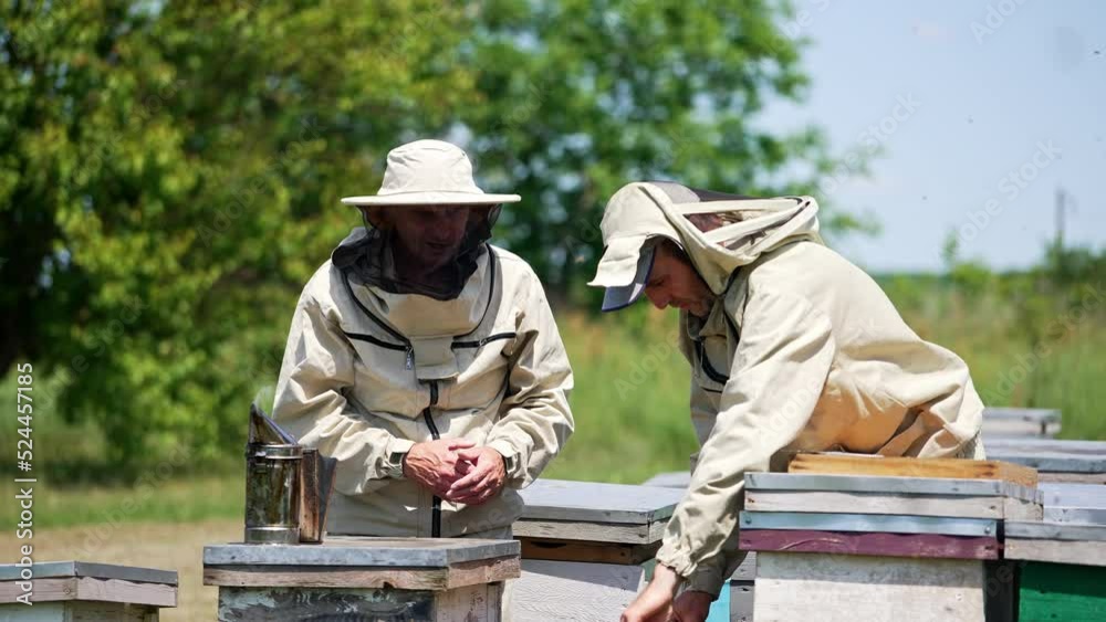 Smiling adult men working at bee farm. Younger apiculturist putting frame into a hive. Multiple bees fly around. Blurred nature backdrop. Smiling adult men working at bee farm. Younger apiculturist putting frame into a hive. Multiple bees fly around. Blurred nature backdrop.