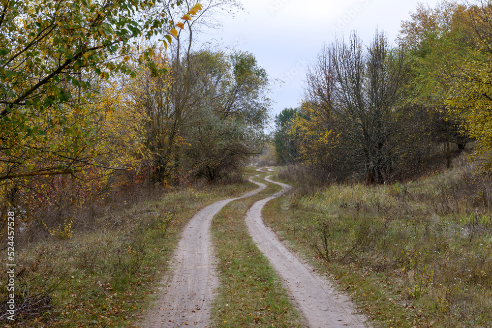 Autumn landscape with country road among trees and weed grass.