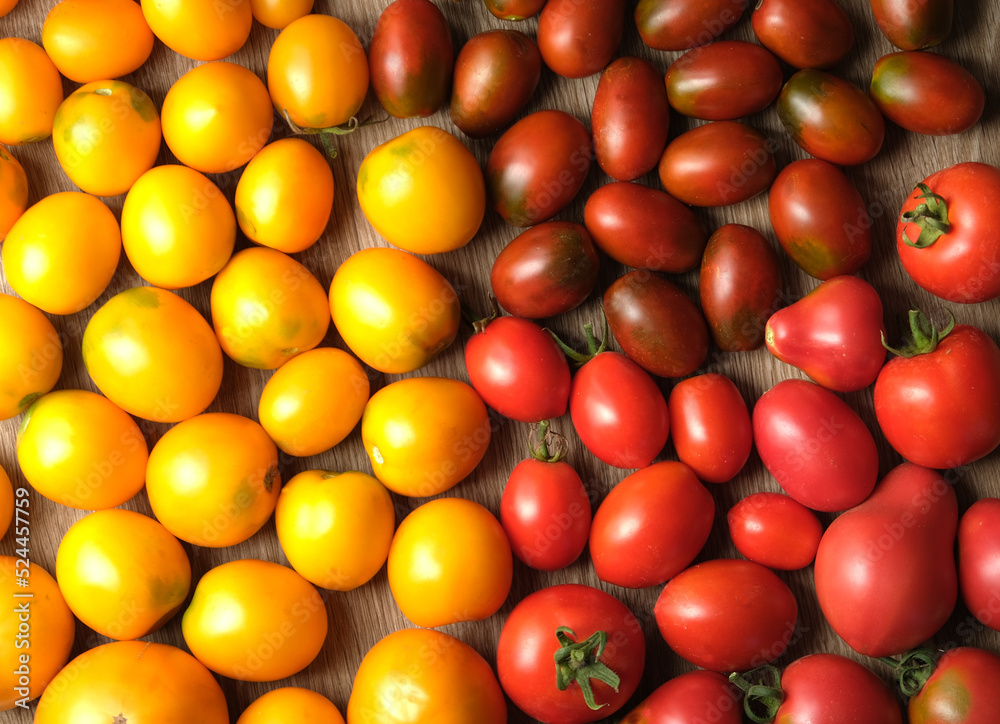 red tomatoes and yellow tomatoes on the table red tomatoes and yellow tomatoes on the table