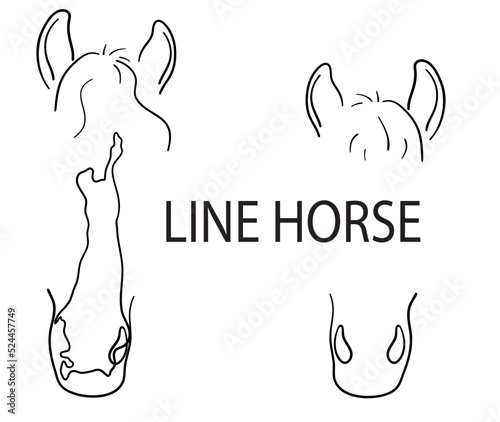 Line horse silhouettes, simple vector to print