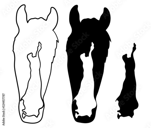 Vector black and white illustration set: Horse Facial Markings