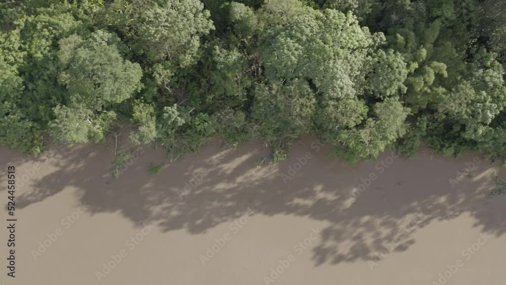 4k Aerial shot for amazon river and the rain forest in brazil rainforest. shot on MAVIC 2 PRO hasselblad rendered prores 422HQ D-log 4k Aerial shot for amazon river and the rain forest in brazil rainforest. shot on MAVIC 2 PRO hasselblad rendered prores 422HQ D-log