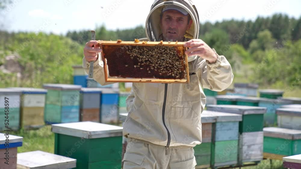 Busy apiarists working at bee farm on sunny day. Beekeeper looking at frame carefully with concern. Close up. Blurred backdrop. Busy apiarists working at bee farm on sunny day. Beekeeper looking at frame carefully with concern. Close up. Blurred backdrop.
