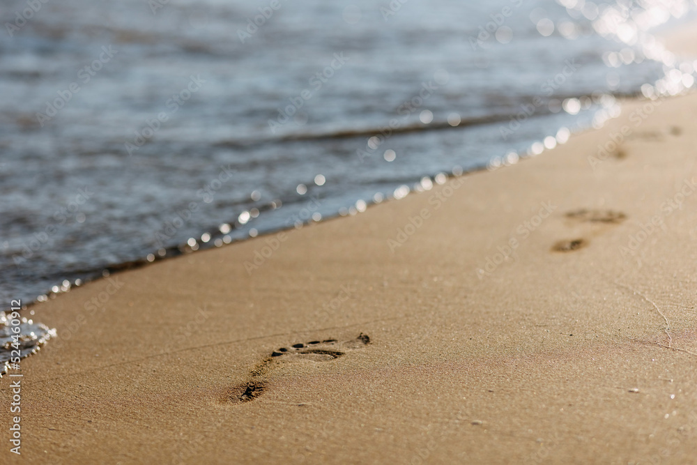 footprints on the beach on a sunny day footprints on the beach on a sunny day