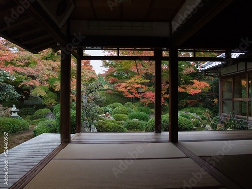 京都 源光庵の紅葉している庭園の風景