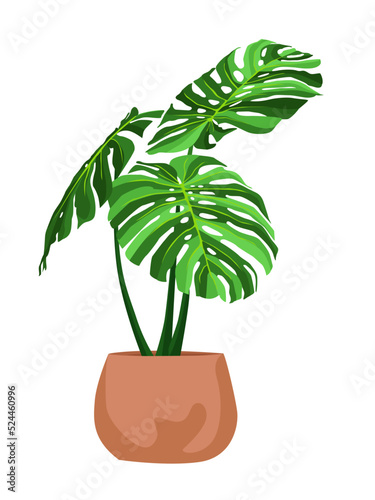 Beautiful tree plants vector illustration design element hanging pot
