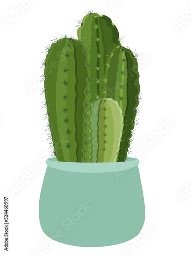 Beautiful tree plants vector illustration design element hanging pot
