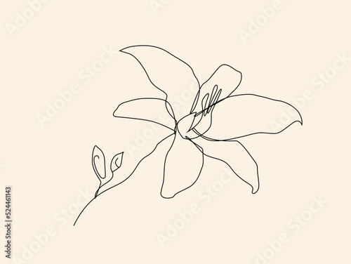 Flower hand drawn one line art illustration vector drawing beautiful design
