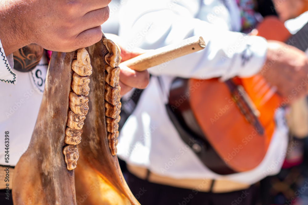 Close-up of a rare musical instrument made from the jawbone of an animal. Colombian musical culture.