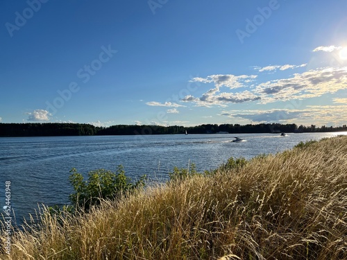 view of the Volga River. dry grass  summer