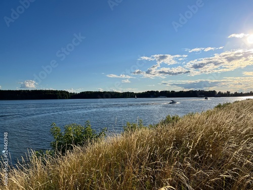 view of the Volga River. dry grass, summer