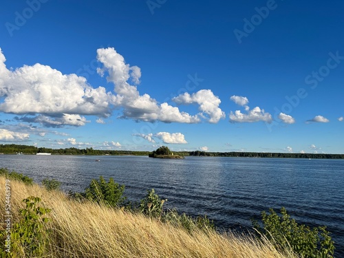 view of the Volga River. dry grass, summer
