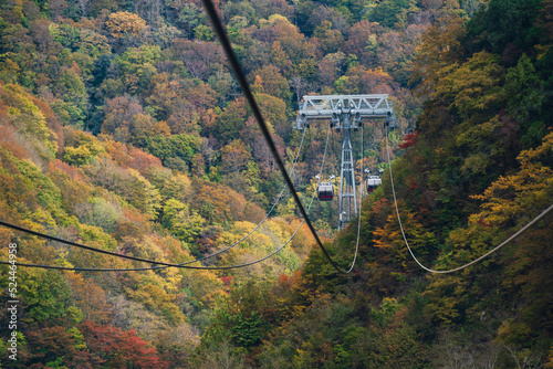 秋の谷川岳ロープウェイ【群馬県・利根郡・みなかみ町】 Mt.Tanigawadake Ropeway in autumn - Gunma, Japan