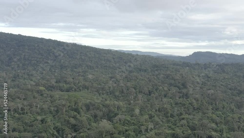 4k Aerial shot for amazon river and the rain forest in brazil rainforest. shot on MAVIC 2 PRO hasselblad rendered prores 422HQ D-log