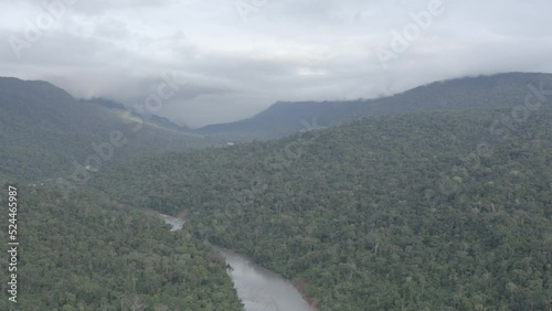 4k Aerial shot for amazon river and the rain forest in brazil rainforest. shot on MAVIC 2 PRO hasselblad rendered prores 422HQ D-log