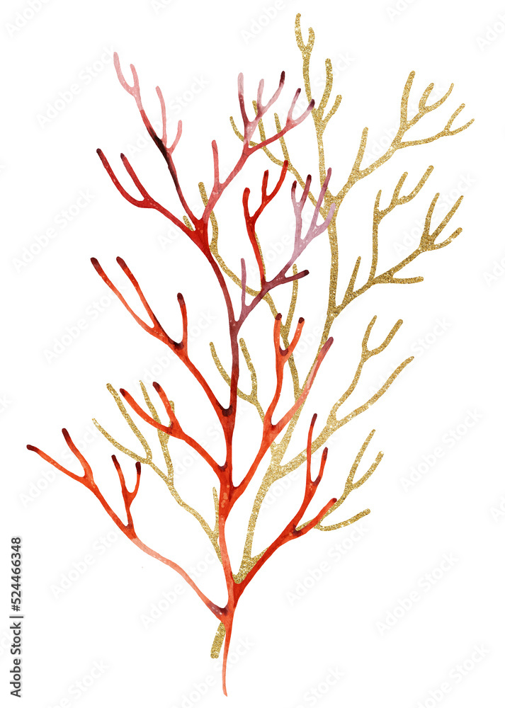 Red Watercolor and golden corals Illustration, isolated element for beach wedding design