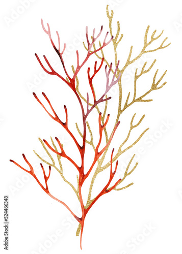 Red Watercolor and golden corals Illustration  isolated element for beach wedding design