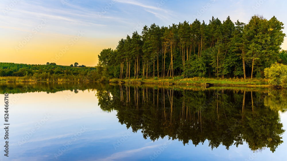 reflection of trees in the lake