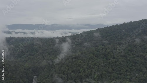 4k Aerial shot for amazon river and the rain forest in brazil rainforest. shot on MAVIC 2 PRO hasselblad rendered prores 422HQ D-log