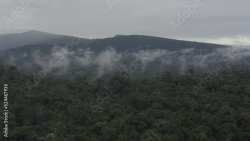 4k Aerial shot for amazon river and the rain forest in brazil rainforest. shot on MAVIC 2 PRO hasselblad rendered prores 422HQ D-log