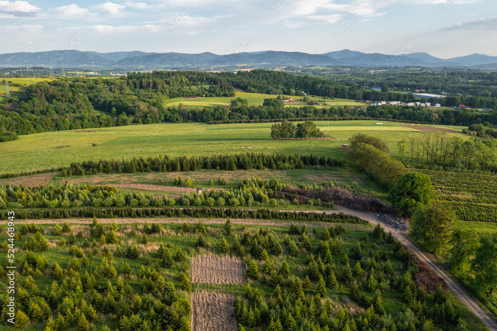 Rural landscape in Terlicko municipality, Czech Republic
