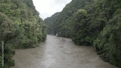 4k Aerial shot for amazon river and the rain forest in brazil rainforest. shot on MAVIC 2 PRO hasselblad rendered prores 422HQ D-log