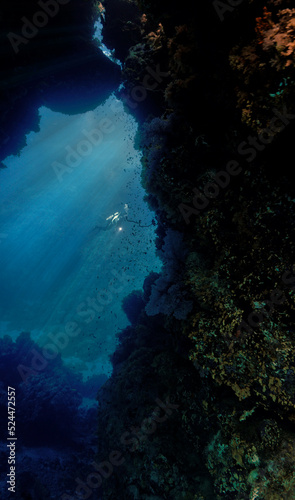 Underwater photo from a scuba dive inside caves and tunnels with rays of light. Beautiful underwater scenery and landscape with sunlight. 